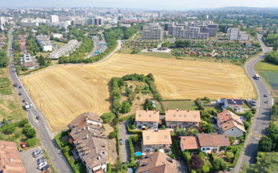 Avant-projet du Plan directeur communal de Plan-les-Ouates